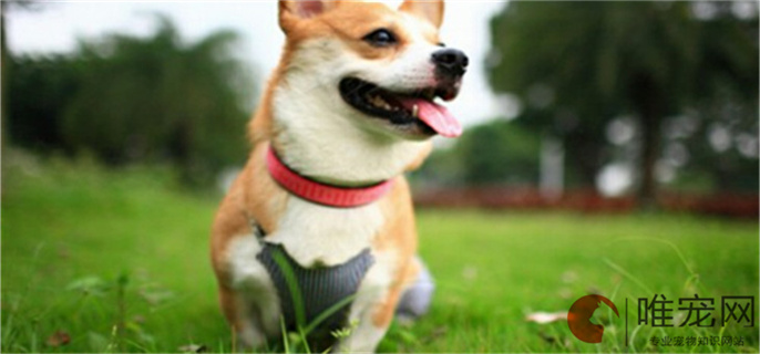 src=http___img0.pclady.com.cn_pclady_1210_25_894533_kj2.jpg&refer=http___img0.pclady.com.jpg src=http___img0.pclady.com.cn_pclady_1210_25_894533_kj2.jpg&refer=http___img0.pclady.com.jpg