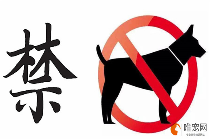 上海禁养犬名单2024年新规定