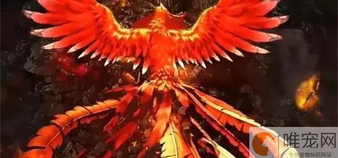 山海经十大祥瑞之兽 山海经十大祥瑞之兽