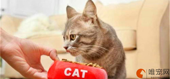 维生素b可以放在水里给猫吃吗 维生素b可以放在水里给猫吃吗