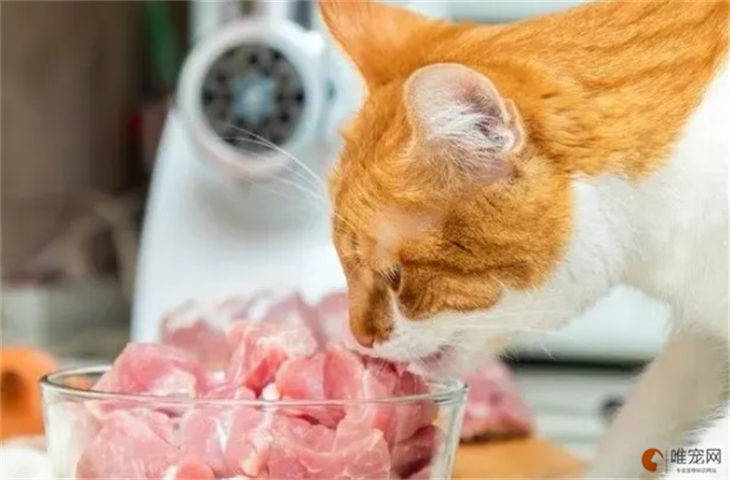 不小心给猫喂了熟的猪肉有事吗 哪些食物是不能吃的