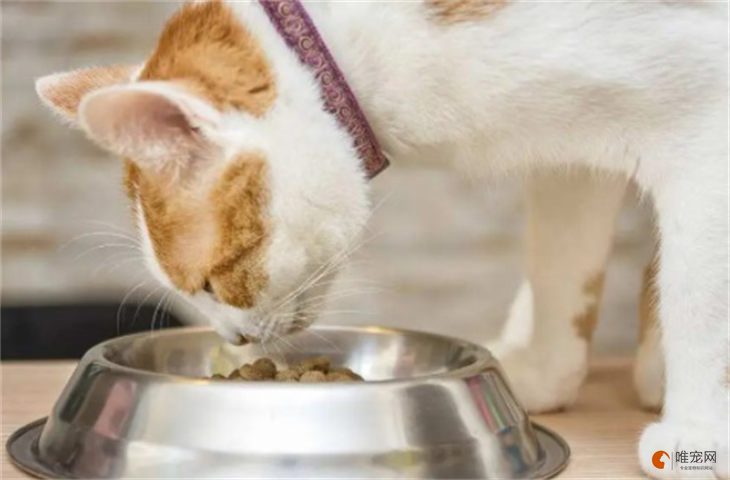 猫只吃猫粮怎么纠正 为什么不吃鱼肉