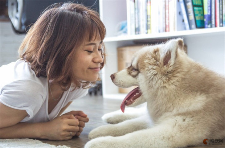 主人跟狗狗碰鼻子它會怎么想 對狗意味著什么