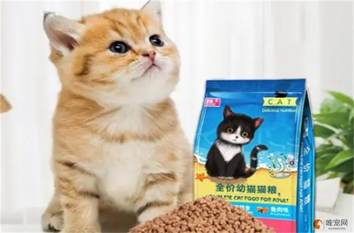 适合幼猫的猫粮品牌 性价比高的牌子有哪些