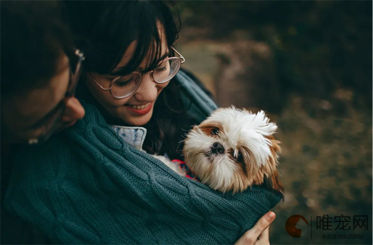 幼犬喝羊奶粉拉稀正常吗 喂羊奶兑多少水