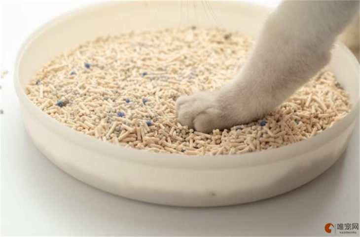 5斤猫砂够用一个月吗 多久换一次