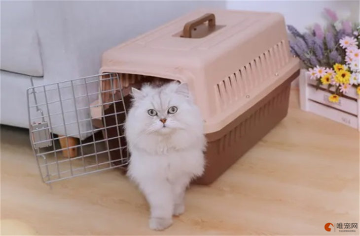 猫空运会有危险么.jpg