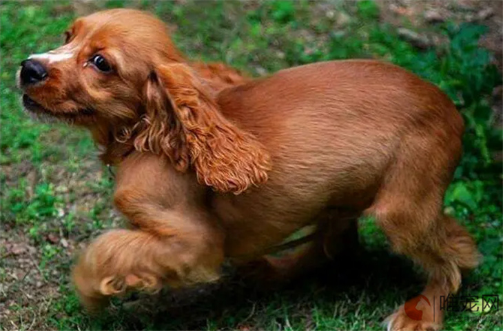 微信截图_20230320092325.jpg 微信截图_20230320092325.jpg