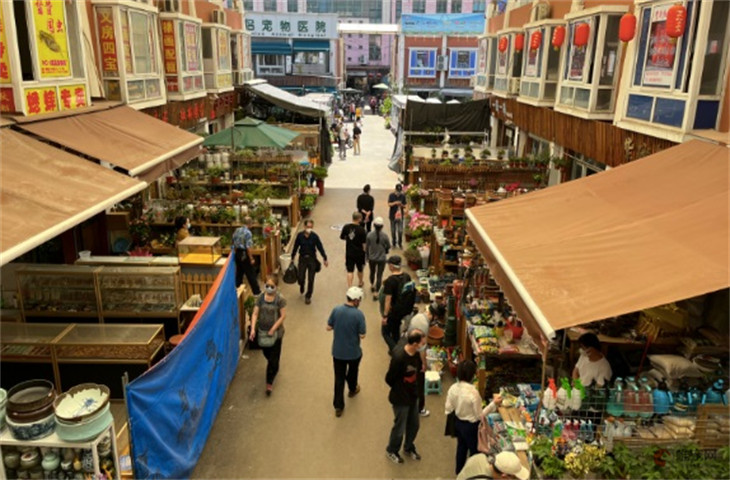 大连市最大的花鸟鱼虫市场在哪里 大连市最大的花鸟鱼虫市场在哪里