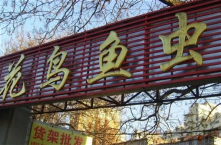 绍兴市最大的花鸟鱼虫市场在哪里 绍兴市最大的花鸟鱼虫市场在哪里