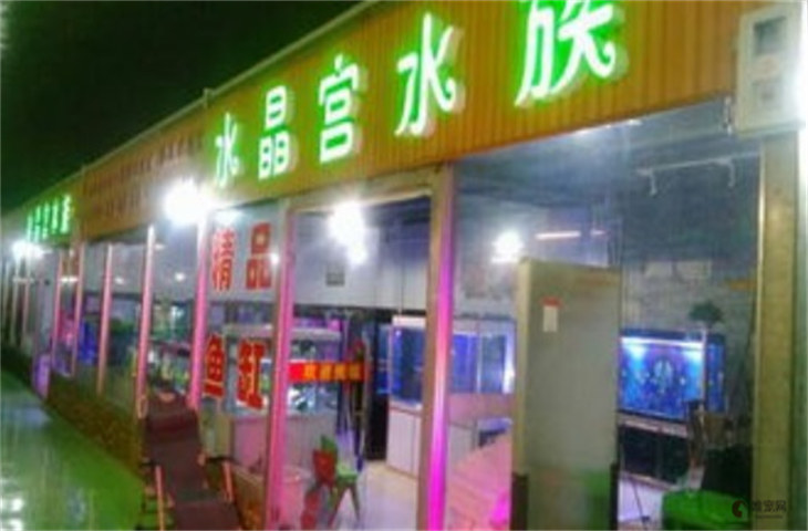 深圳市最大的花鸟鱼虫市场在哪里 可以讲价吗