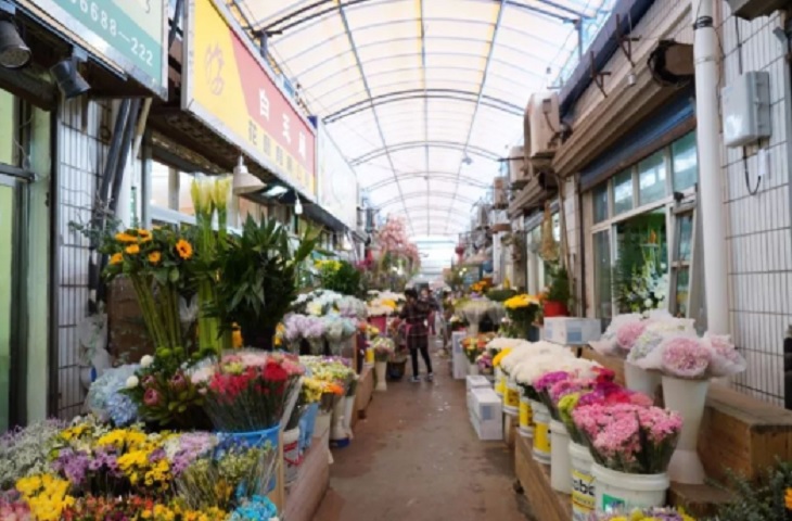 香港最大的花鸟鱼虫市场在哪里 香港最大的花鸟鱼虫市场在哪里