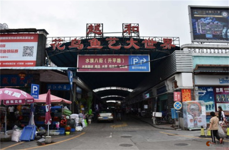广州市最大的花鸟鱼虫市场在哪里 广州市最大的花鸟鱼虫市场在哪里