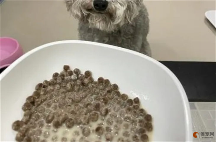 羊奶粉干拌狗粮行吗 单独喂还是和狗粮一起 羊奶粉干拌狗粮行吗 单独喂还是和狗粮一起
