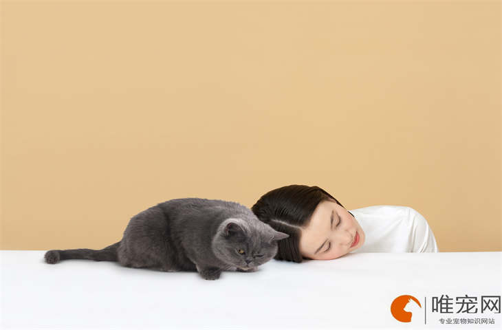 宠物乳化鱼油怎么吃 宠物乳化鱼油怎么吃
