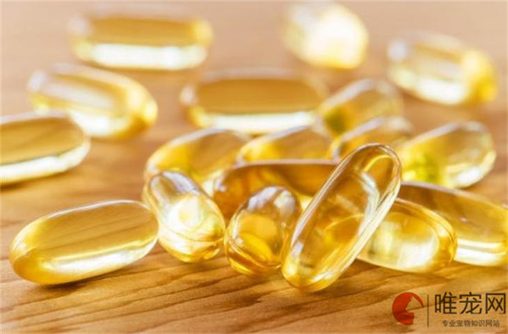 鱼油最好的三大品牌是什么 鱼油最好的三大品牌是什么